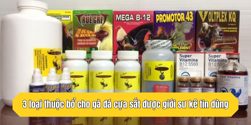3 loại thuộc bổ cho gà đá cựa sắt được giới sư kê tin dùng