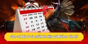 Cách Coi Ngày Đá Gà Chuẩn Xác Hiệu Quả Nhất Cho Tân Thủ
