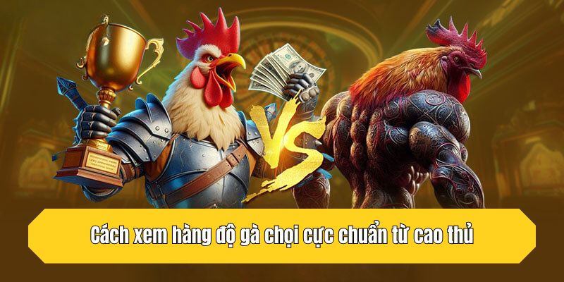 Cách xem hàng độ gà chọi cực chuẩn từ cao thủ