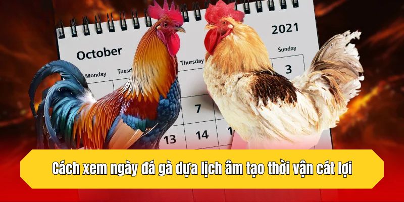 Cách xem ngày đá gà dựa lịch âm tạo thời vận cát lợi