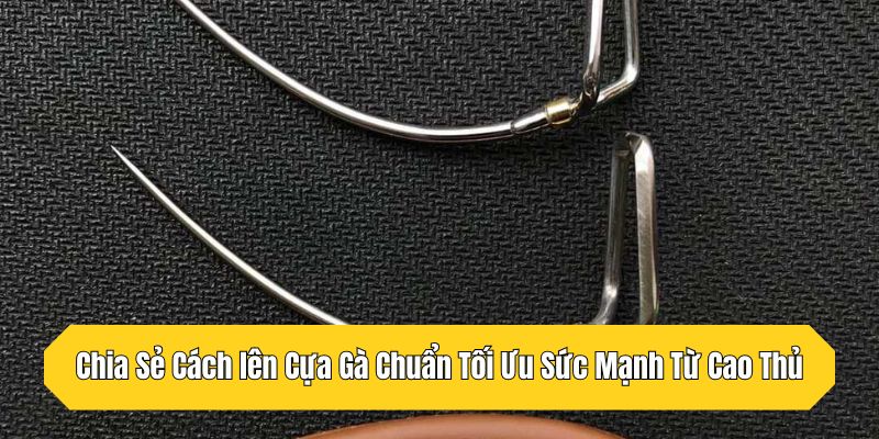 Chia Sẻ Cách Lên Cựa Gà Chuẩn Tối Ưu Sức Mạnh Từ Cao Thủ
