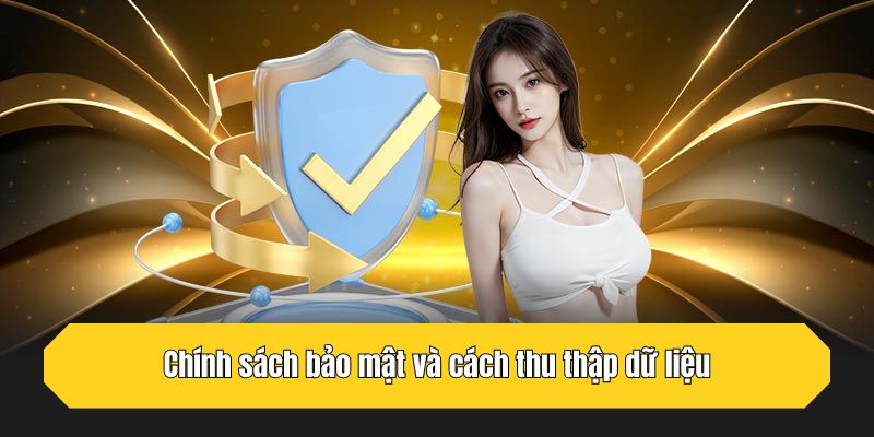 Chính sách bảo mật và cách thu thập dữ liệu