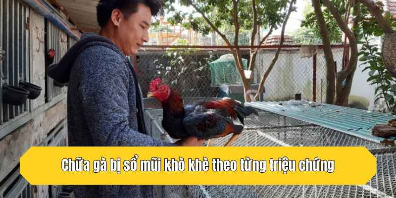 Chữa gà bị sổ mũi khò khè theo từng triệu chứng