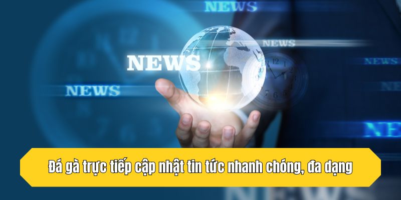 Đá gà trực tiếp cập nhật tin tức nhanh chóng, đa dạng