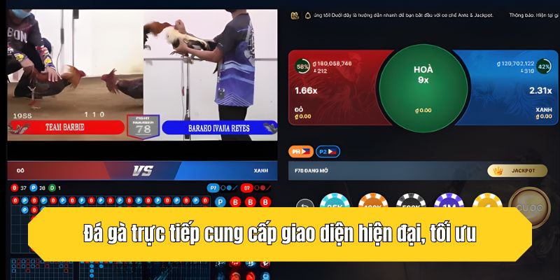 Đá gà trực tiếp cung cấp giao diện hiện đại, tối ưu