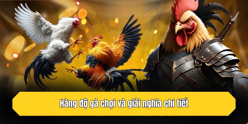 Hàng độ gà chọi và giải nghĩa chi tiết