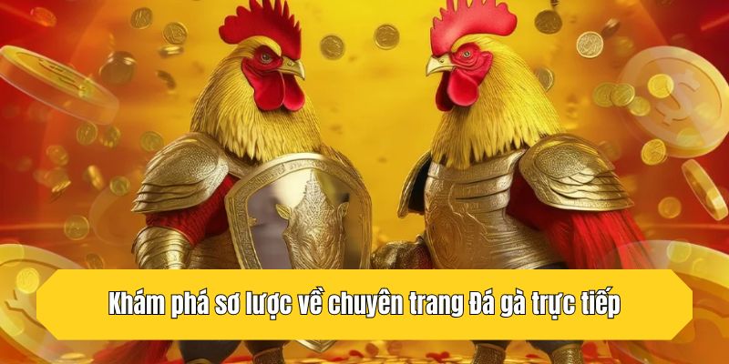 Khám phá sơ lược về chuyên trang Đá gà trực tiếp