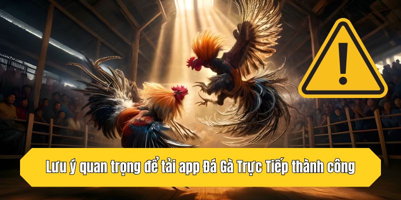 Lưu ý quan trọng để tải app Đá Gà Trực Tiếp thành công