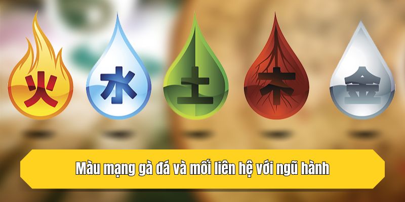 Màu mạng gà đá và mối liên hệ với ngũ hành