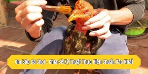 Om Bóp Gà Chọi - Chia Sẻ Kỹ Thuật Thực Hiện Chuẩn Xác Nhất