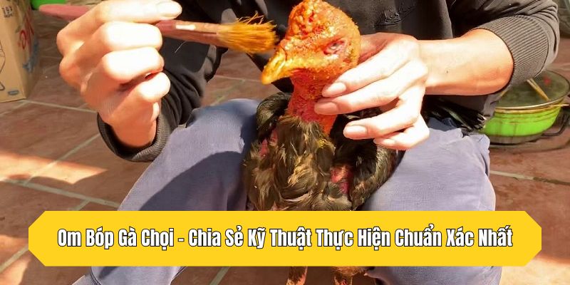 Om Bóp Gà Chọi - Chia Sẻ Kỹ Thuật Thực Hiện Chuẩn Xác Nhất