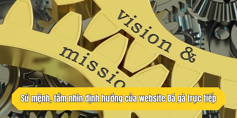 Sứ mệnh, tầm nhìn định hướng của website Đá gà trực tiếp