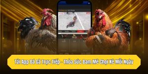 Tải App Đá Gà Trực Tiếp - Thỏa Sức Đam Mê Chọi Kê Mỗi Ngày