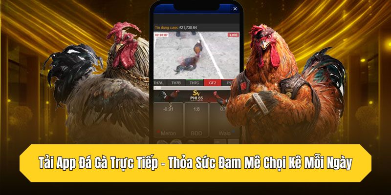 Tải App Đá Gà Trực Tiếp - Thỏa Sức Đam Mê Chọi Kê Mỗi Ngày