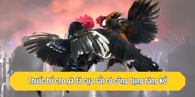 Thuốc bổ cho gà đá cựa sắt có công dụng đáng kể