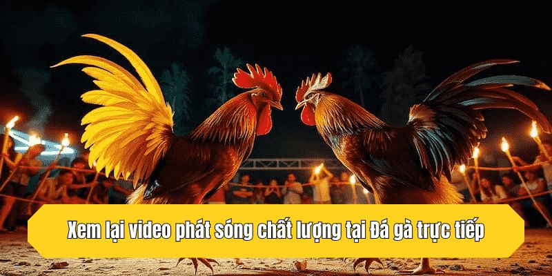 Xem lại video phát sóng chất lượng tại Đá gà trực tiếp